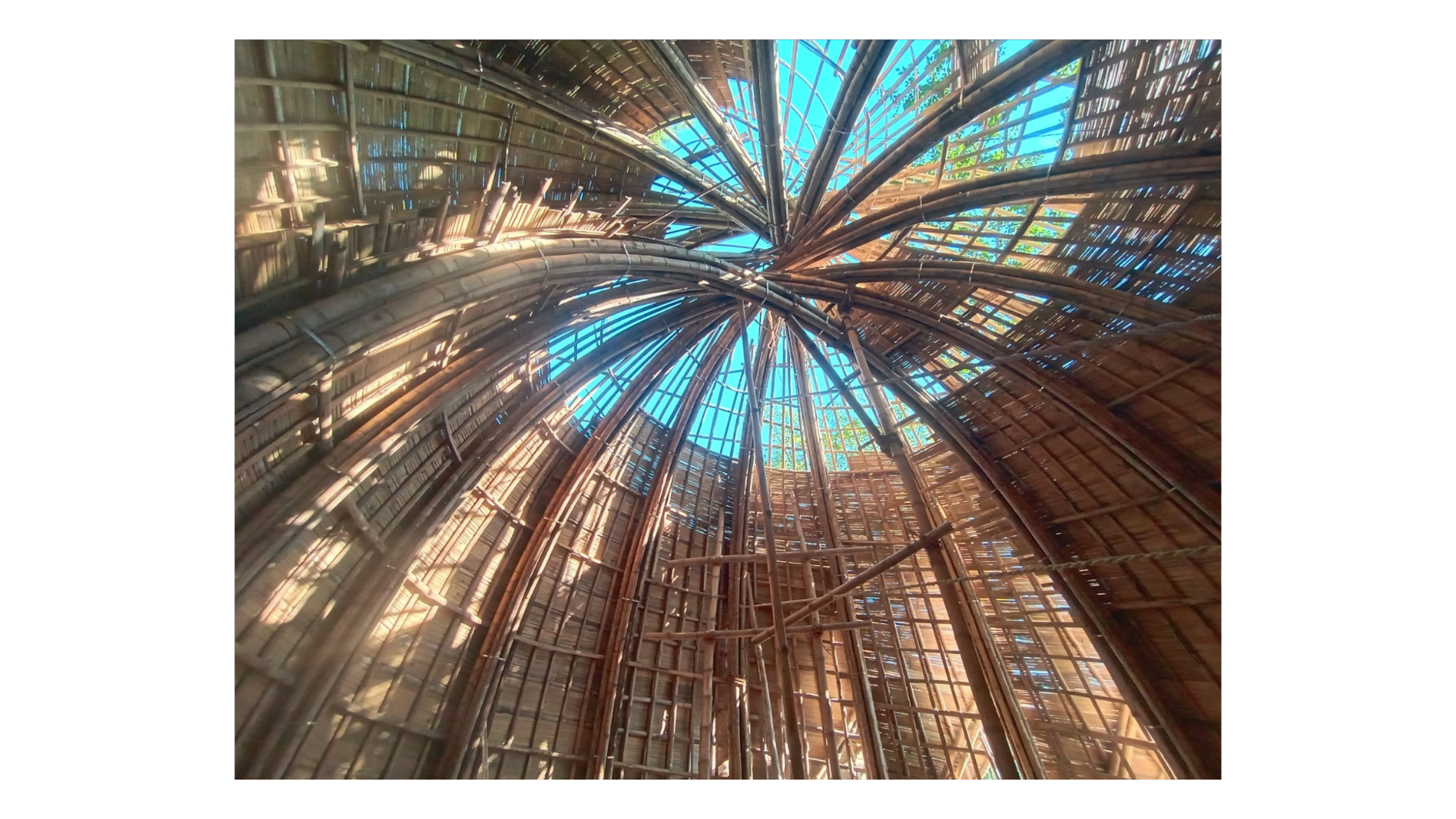 Completed Structural Internal Bamboo Atrium Framework Shell